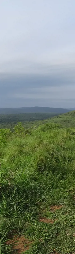 Safari im Hluhluwe-iMfolozi-Park